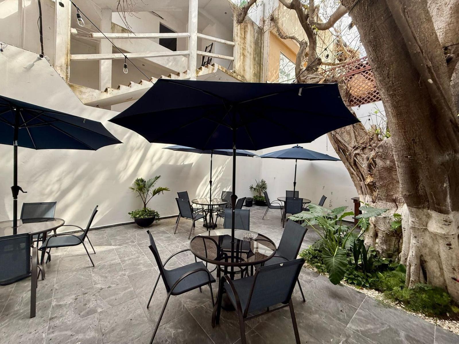 Casa Tortuga 5Th Ave Hotel Playa del Carmen Exterior photo
